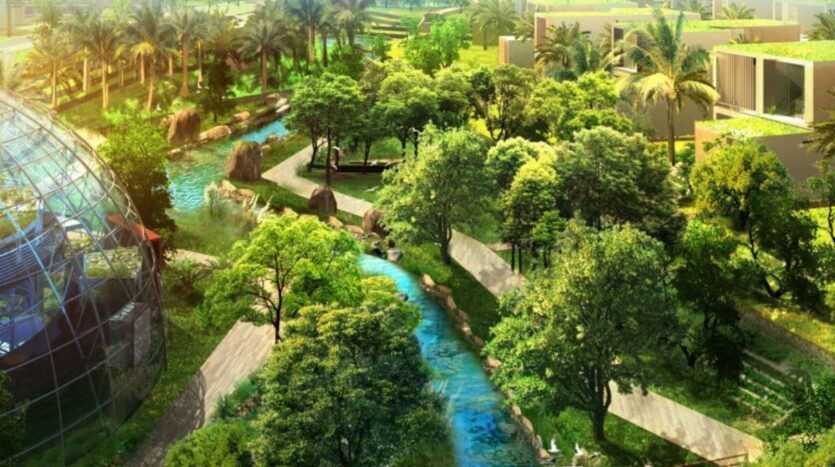 Investing in Dubai’s Green Projects